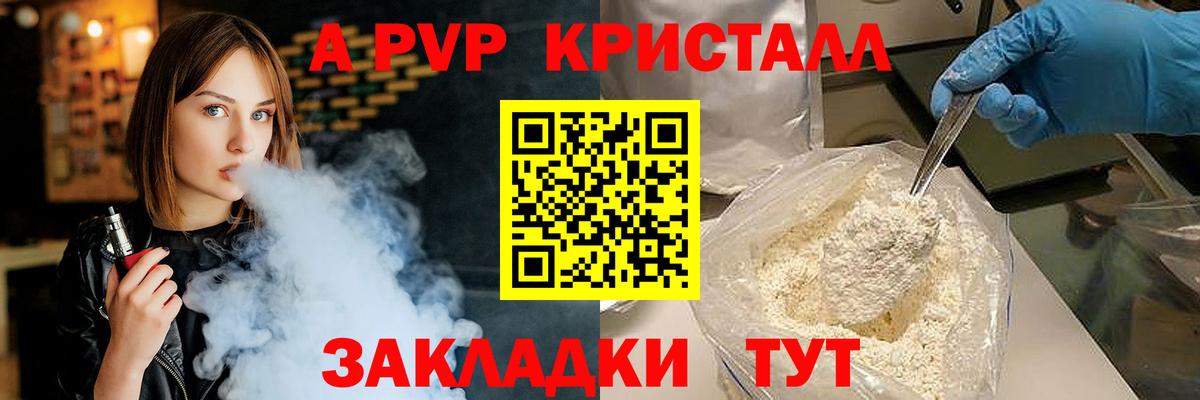 A PVP СК Новозыбков