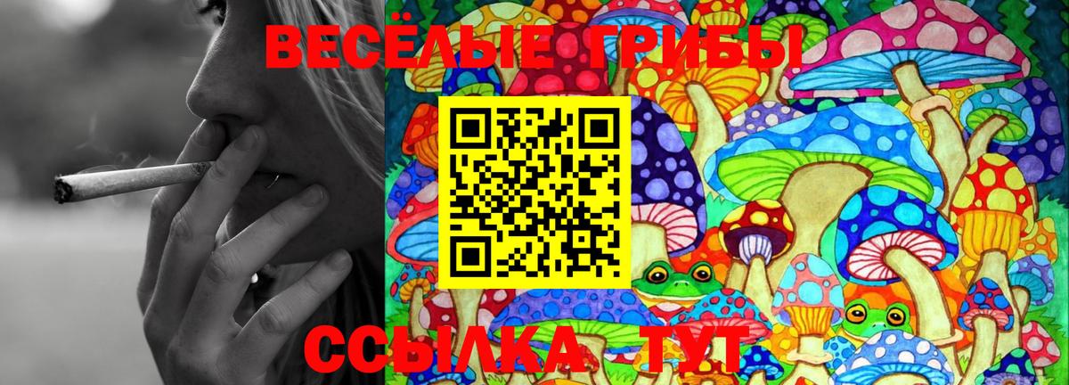 Псилоцибиновые грибы ЛСД  Псилоцибиновые грибы Psilocybine cubensis  Новозыбков  Вход с VPN 