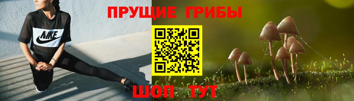 Псилоцибиновые грибы GOLDEN TEACHER Новозыбков