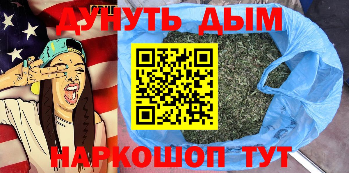 Каннабис сатива Новозыбков